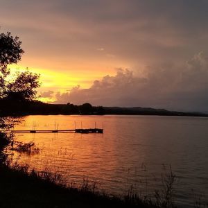 Meet your Posher, Lucy